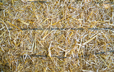 dried hay bale 