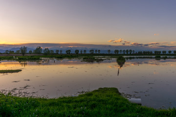 Lake of Racconigi, near Turin, at golden hour