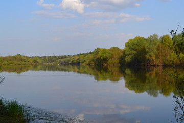 River, green forest, reflection of green forest in the water, in spring.