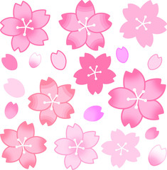 Sakura Petals Set