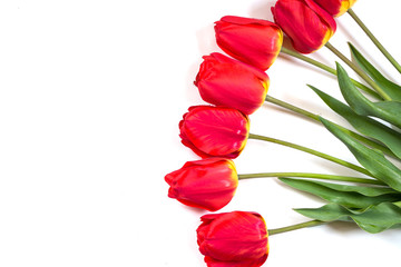 a bouquet of tulips on a white background. tulips isolate