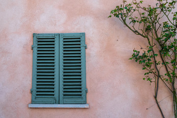 Fototapeta na wymiar Close-up of an old window with closed shutters on a pink wall with a climbing plant of rose in springtime, Bossolasco, Langhe, Piedmont, Italy 