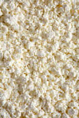 Homemade cottage cheese, top view. Close up.