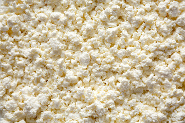 Homemade cottage cheese, top view. Close-up.