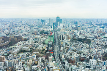 Fototapeta premium Tokyo View