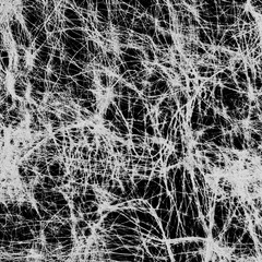 Cobweb of white thread on a black background