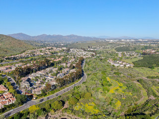 Aerial view suburban neighborhood with identical villas next to each other in the valley. San Diego, California, USA. Aerial view of residential modern subdivision luxury house with swimming pool.