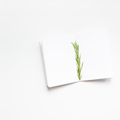 Blank notepad pages with rosemary twig