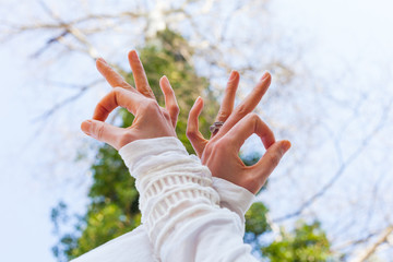close up woman hand   in yoga mudra gesture from below view to the sky and tree