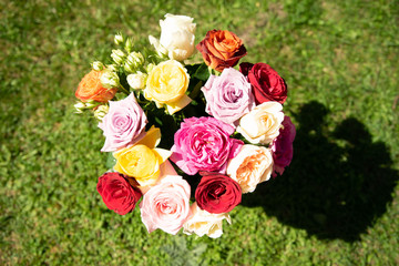 Beautiful red, yellow, pink, orange and white roses in the garden