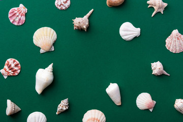Frame pattern from sea shells of different shapes and colors on dark green background. Elegant minimalist style. Creative poster banner. Summer tropical spa wellness concept