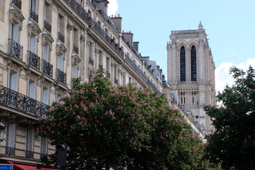 2019 04 - Notre Dame de Paris 1