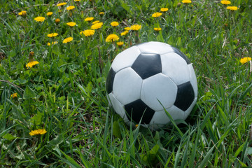 Soccer ball on the grass in the park on green lush in spring.