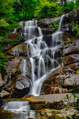 Obraz premium waterfall in the forest