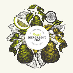 Bergamot branch design template. Kaffir lime logo. Hand drawn vector fruit illustration. Engraved style vintage citrus background. - obrazy, fototapety, plakaty
