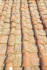 Old traditional tuscany terracotta roof covering (Tuscany - Italy)