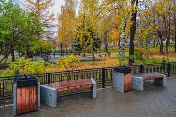 Autumn in city park. Empty bench near the tree. Beauty nature scene at fall season.