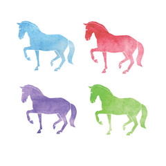 horse watercolor outline. Set of illustrations