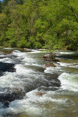 Fototapeta premium RApid waters, wilderness