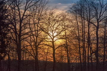 Obraz premium Waldromantik