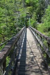 Fototapeta premium Suspension Bridge