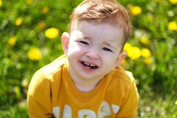 Little cute baby boy playing on the meadow full of common sow thistle - yellow flowers..