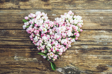 heart of flowers and buds of the apple tree. Old wooden planks background