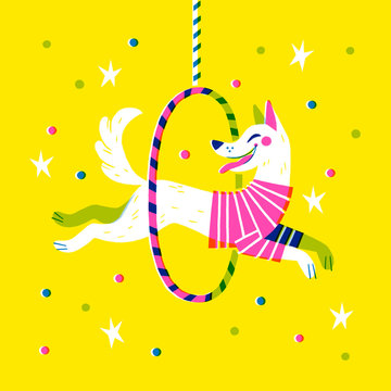 Circus Dog