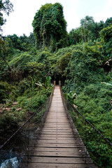 Obraz premium Hängebrücke in Laos