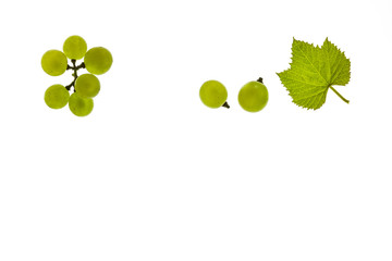 isolated ripe white grapes with leaf on white background with copy space