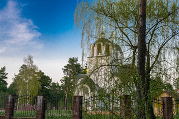 Fototapeta premium christian church against blue sky and willow branches