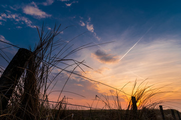 sunset over the field