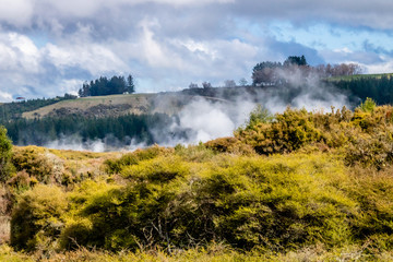 Geo thermal vents and pools dot the landscape at Craters of the Moon, Taupo, New Zealand