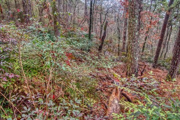 Hot Springs National Park is located in South West Arkansas by the Town of the same Name