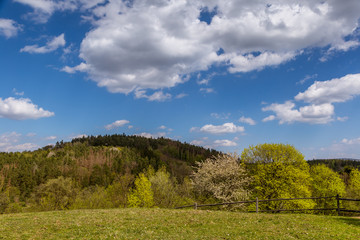 Fototapeta premium Spring fresh landscape