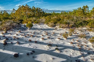 The Gulf Islands National Seashore is located in Florida and Mississippi