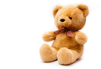 Teddy bear on white background