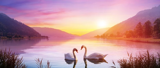Fototapeten Schwäne über dem See bei Sonnenaufgang - Ruhe und Romantik © Romolo Tavani