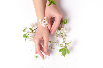 Tenderness female hands with spring flowers on a white background.