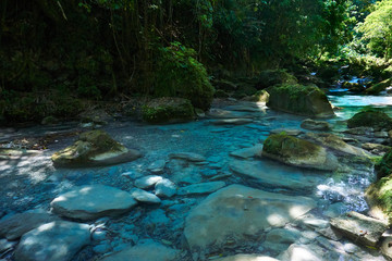 Fototapeta na wymiar Fluss in Dschungel mit türkisem Wasser