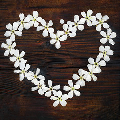 Obraz na płótnie Canvas Heart of white cherry flowers on dark wooden background. Springtime. Copy space