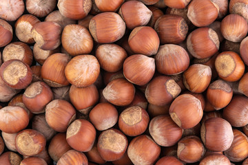 hazelnuts: lots of nuts on a black plate, close
