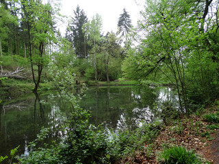 Blick auf den Apenteich in Winzenburg