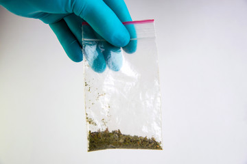 synthetic marijuana: laboratory technician holds samples of narcotic herbal medicines in hand