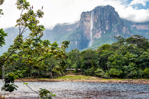 View Of Angel Falls From Carrao River Canaima National Park
