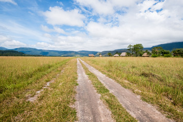 Fototapeta na wymiar Landing strip in the Yutaje indigenous village , Amazonas State - Venezuela