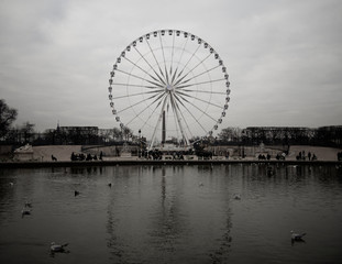 Ferris Wheel