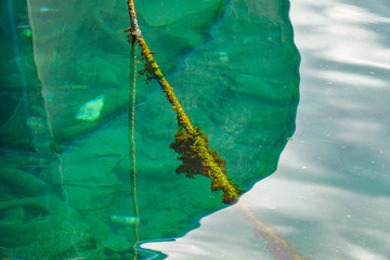 Old mossy rope with reflection of calm sea surface.
