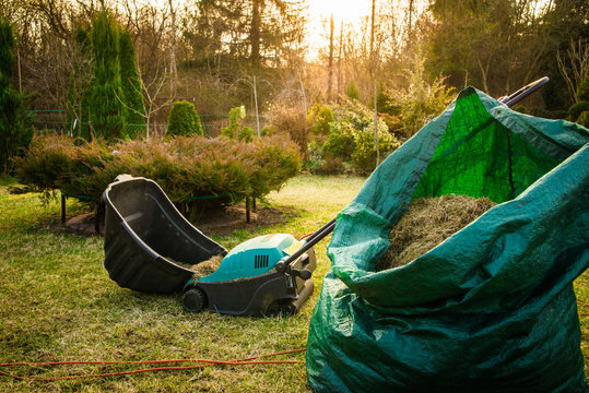 Using scarifier in the garden. The man fertilizes the soil in the garden, preparing for work on the garden. Aeration with a blue scarifier. The gardener works outside taking care of plants.