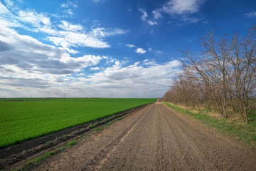 Fototapeta na wymiar Spring landscape with the road, trees and green field. Blue cloudy sky